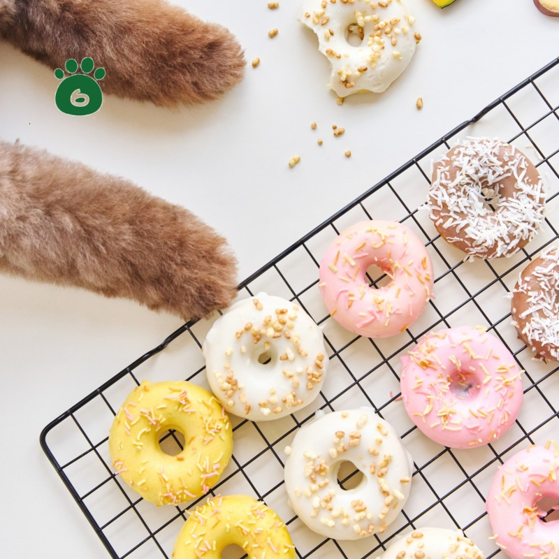 Galleta de Cumpleaños para Perros Muy Apetecible - Pastel de Donut Irresistible, Libre de Lactosa, Adecuado para Estómagos Sensibles comida para mascotas