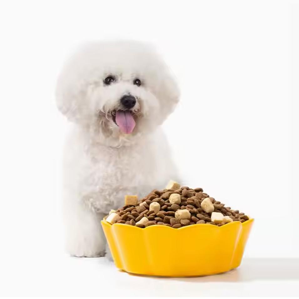 Comida seca saludable para gatos y perros con recubrimiento liofilizado, para todas las razas y etapas de vida, sabores de pollo, pescado, res y pato, precio bajo de fábrica