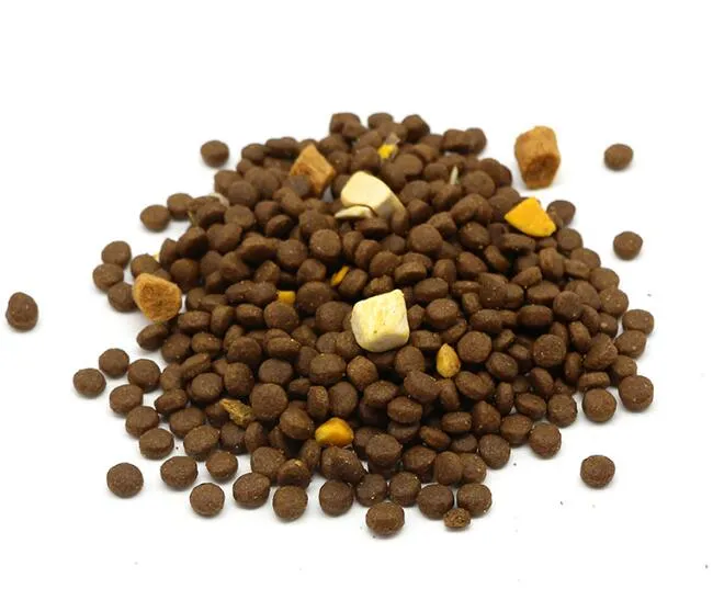 Laboratorio 2