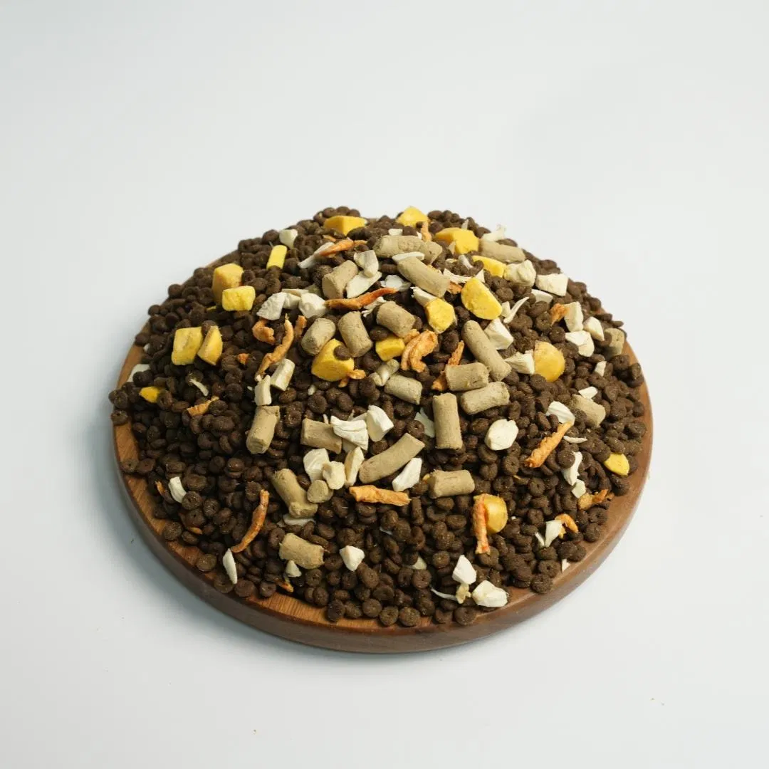 Comida seca saludable para gatos y perros con recubrimiento liofilizado, para todas las razas y etapas de vida, sabores de pollo, pescado, res y pato, precio bajo de fábrica