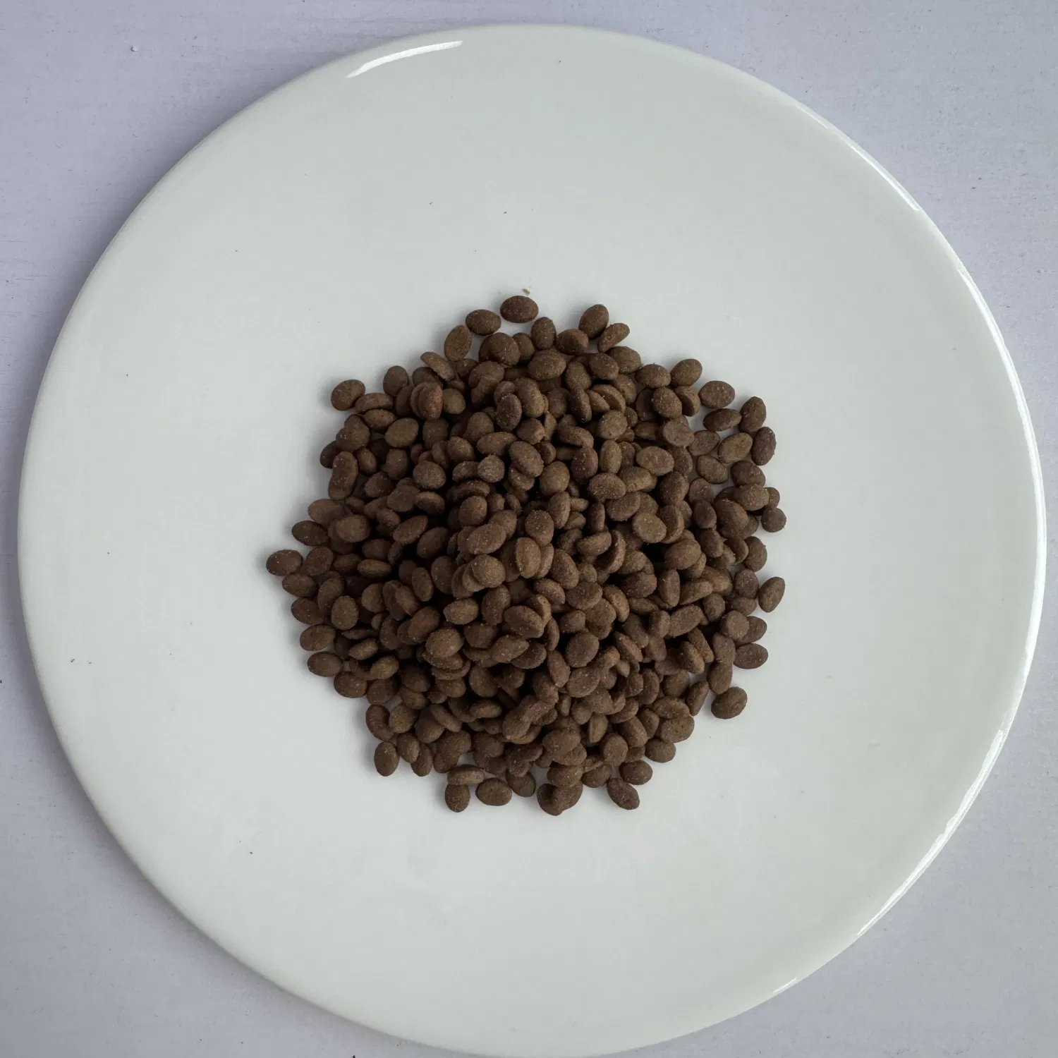 Alimento para gatos sin granos de buena calidad, económico, en forma redonda, golosinas básicas para mascotas