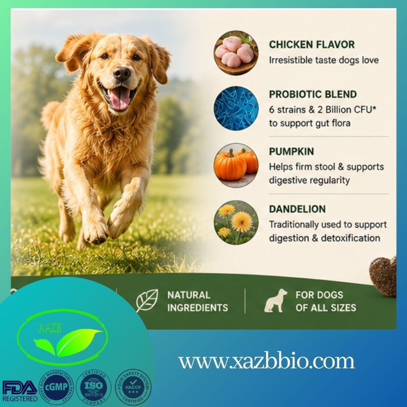 Masticables probióticos para mascotas con sabor delicioso, fácil de alimentar para cachorros y gatitos