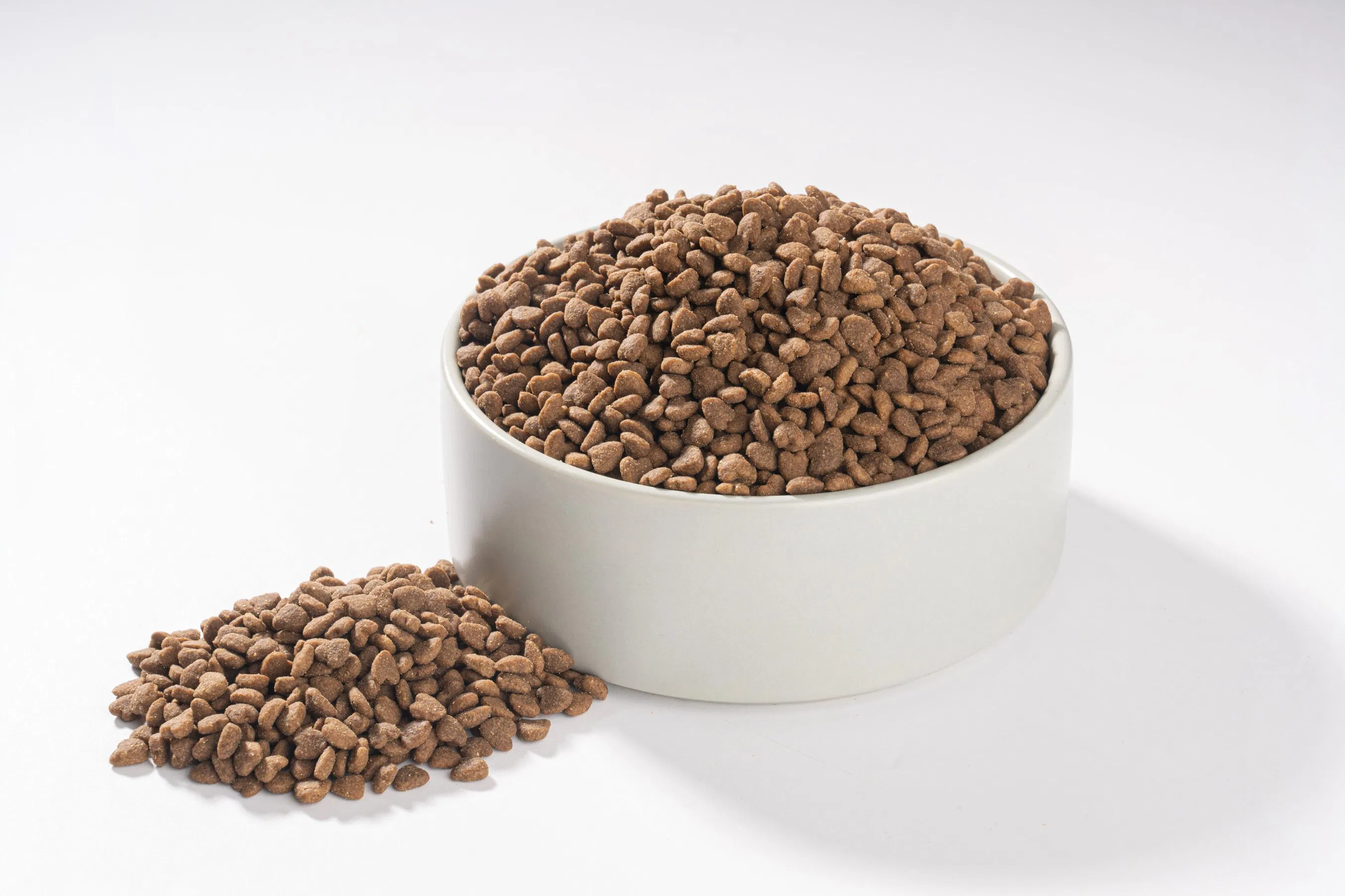 Fábrica Mayorista de Alimentos Secos para Gatos 1kg 2.5kg 10kg Sin Granos Pollo Pescado Adulto Gatito Alimento Seco para Gatos Comida para Mascotas