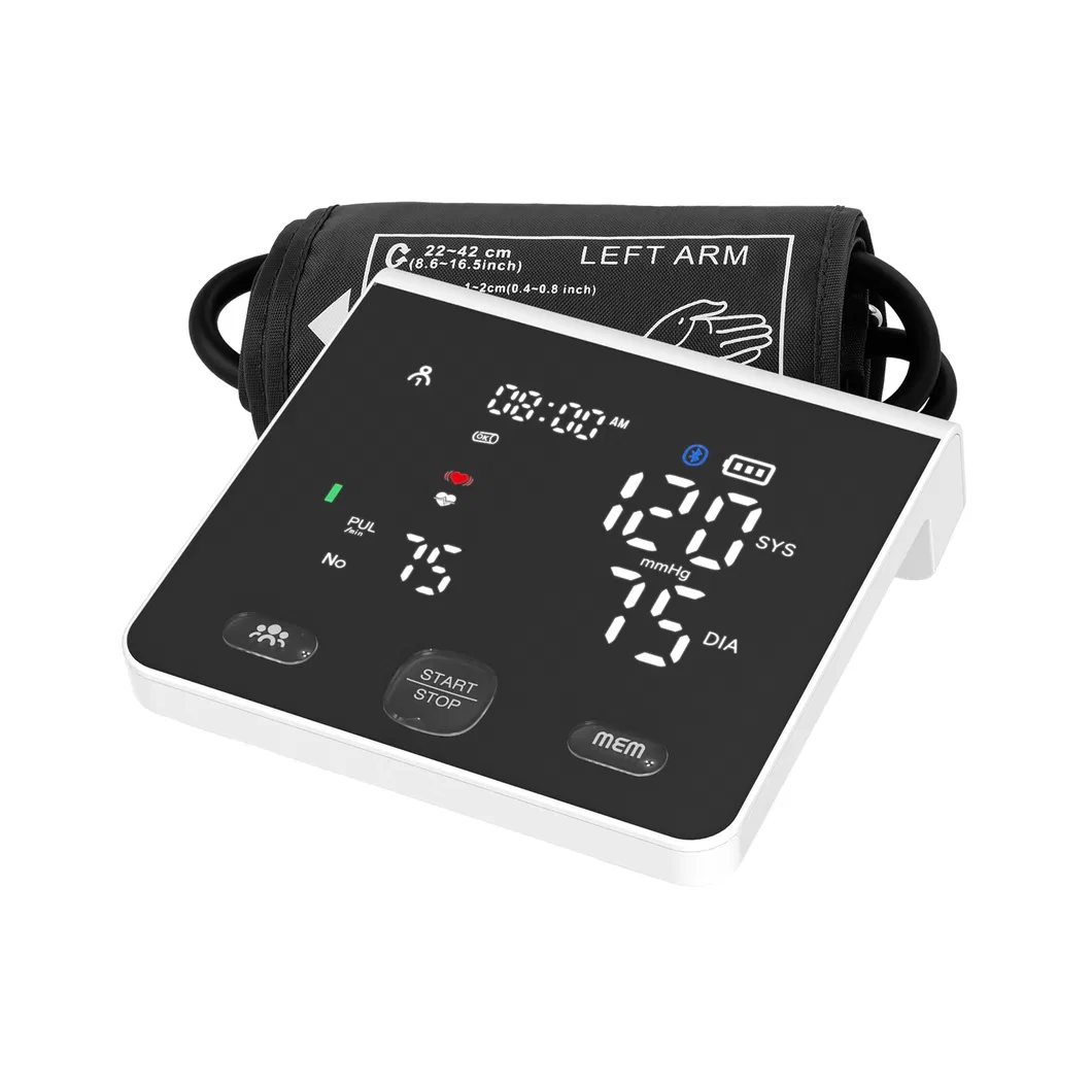 Blood Pressure Monitor Display