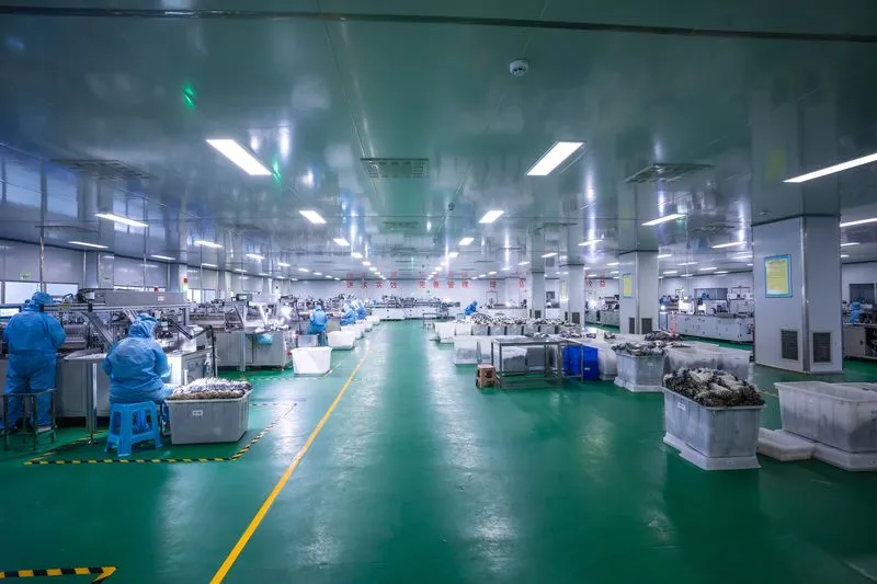 Manufacturing Workshop 1