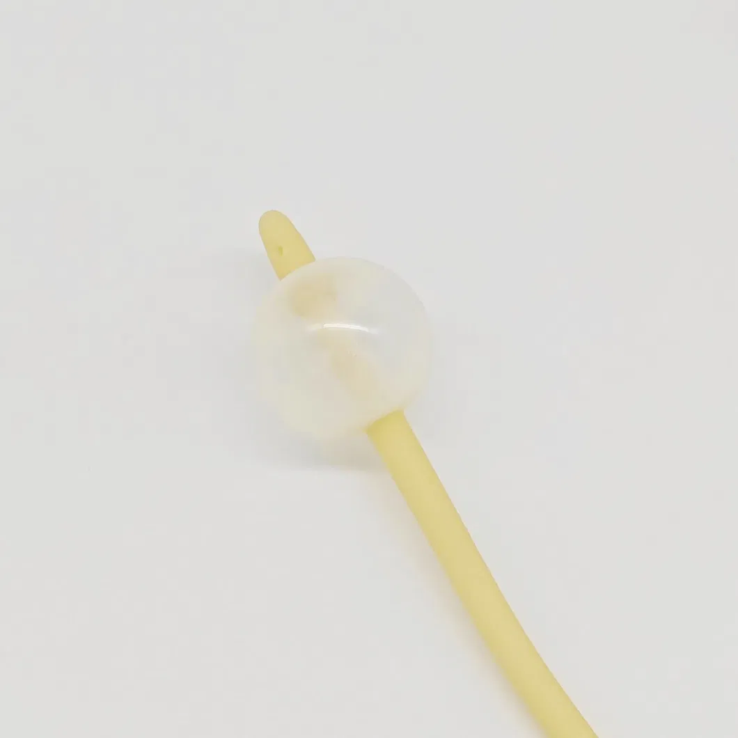 Uterine Catheter Detail 2