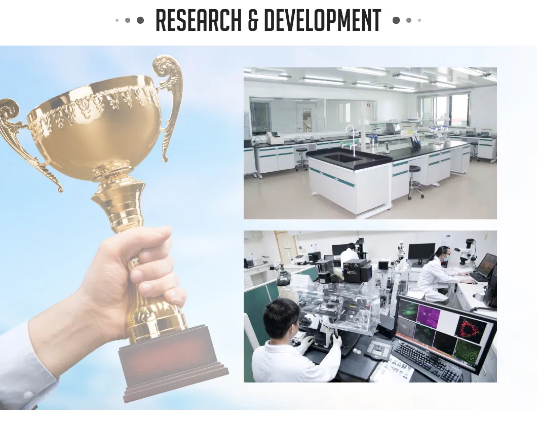 Surgical Gloves Specification 3