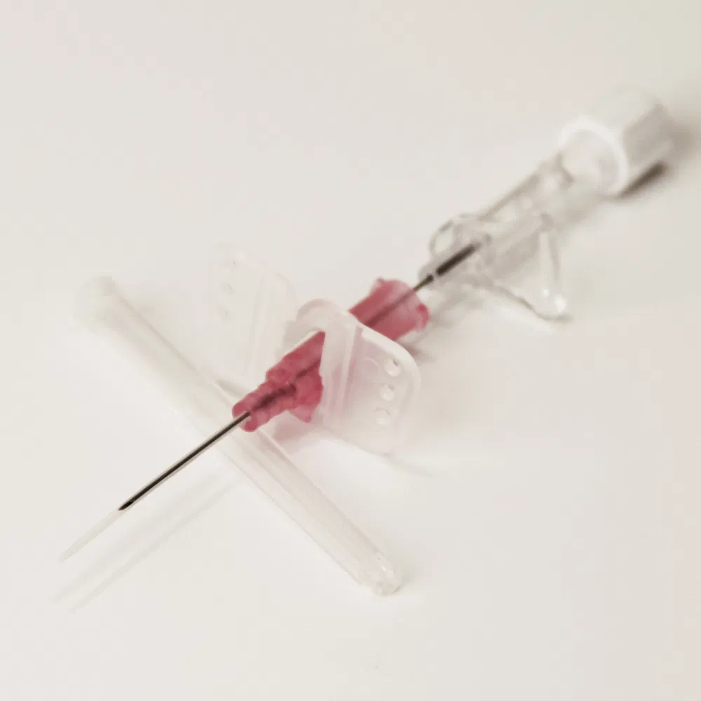 IV Catheter Detail 2