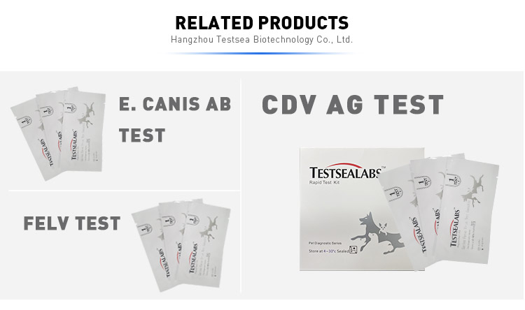 Testsealabs Canine Giardia Antigen Test Diagnostic Kits OEM Cheap One Step