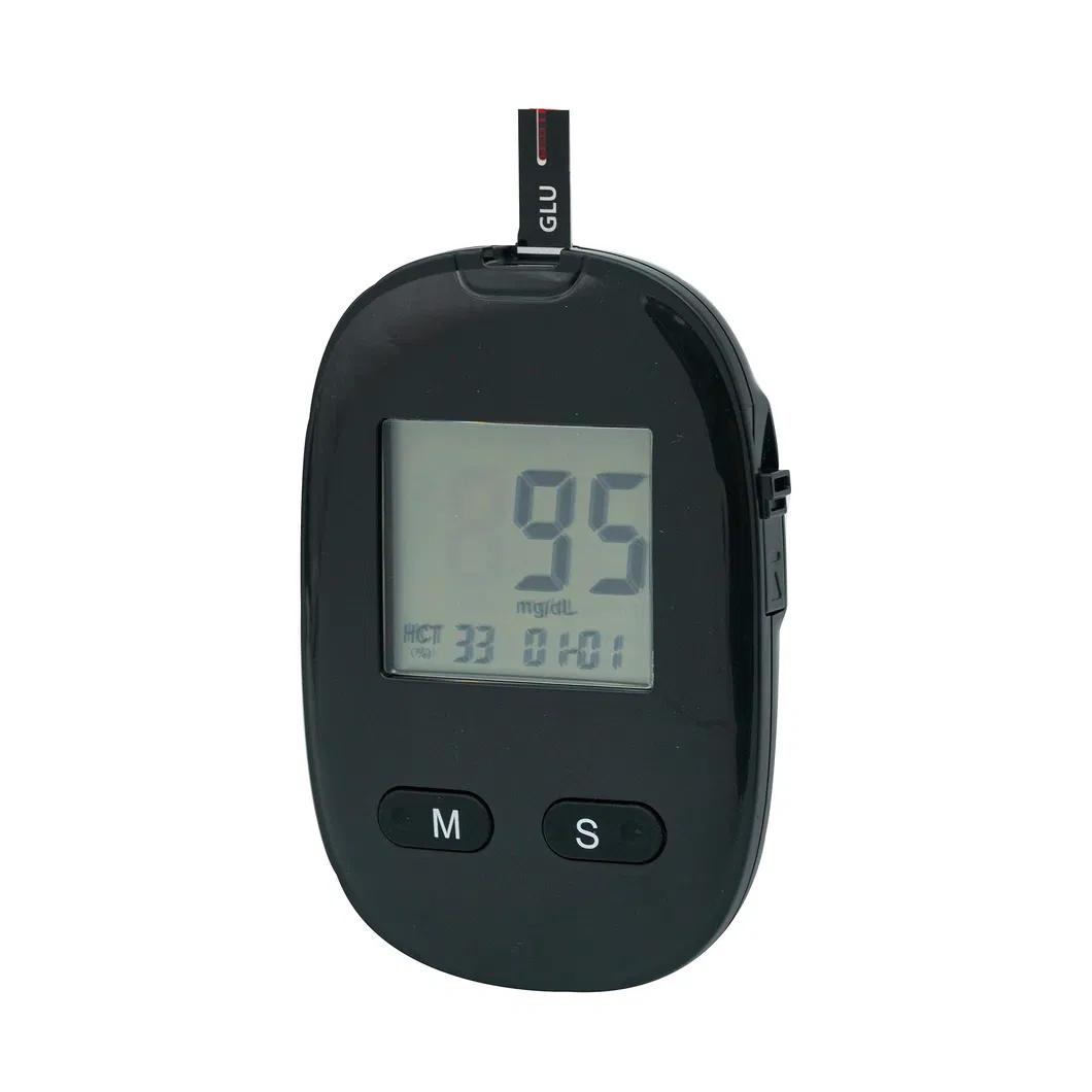 Blood Glucose Meter View 2