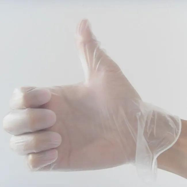 100 Box Disposable Vinyl Gloves Clear Color Examination Hand Gloves Disposable