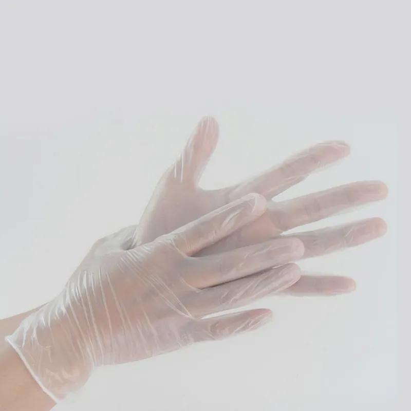 Vinyl Gloves Photo 4