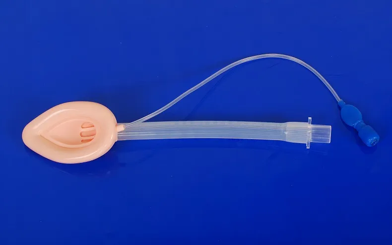 Laryngeal Mask Airway Detail 2