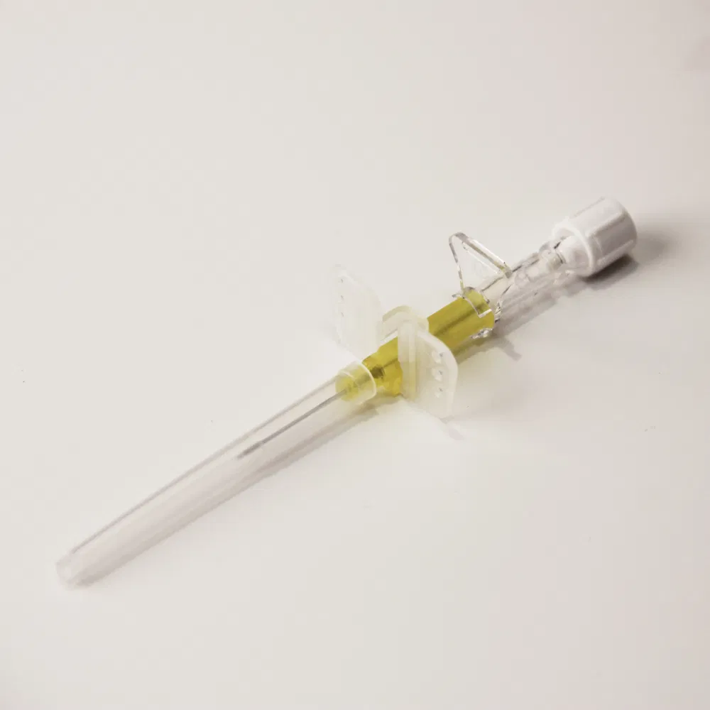 IV Catheter Detail 1