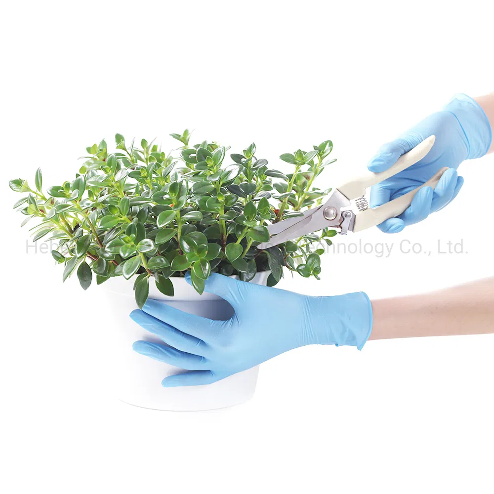 Manufacturer Powder-Free Nitrile Inspection Disposable Gloves for Food Touch