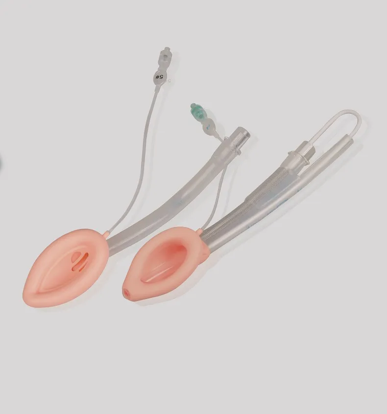 Laryngeal Mask View 3