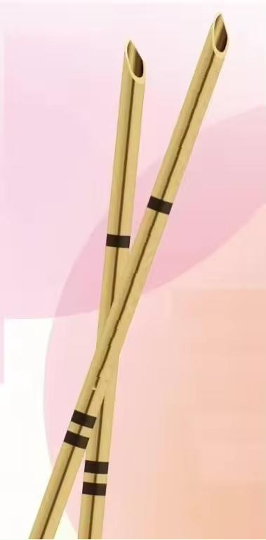 Surgical Instruments Medical Nerve Stimulator Needle Ultrasound-Visible Stimulation Peripheral Nerve Block Needle