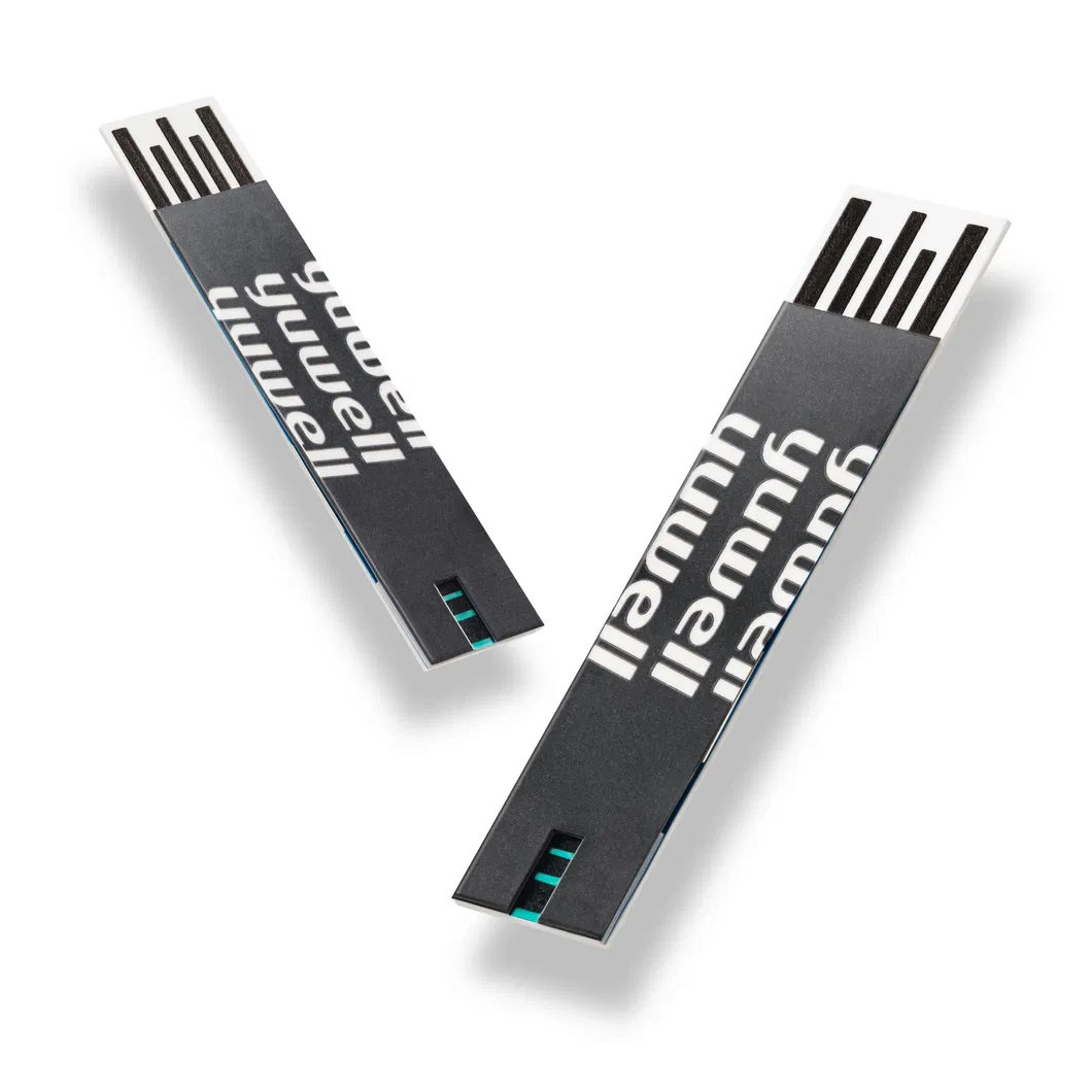 Blood Glucose Meter View 2