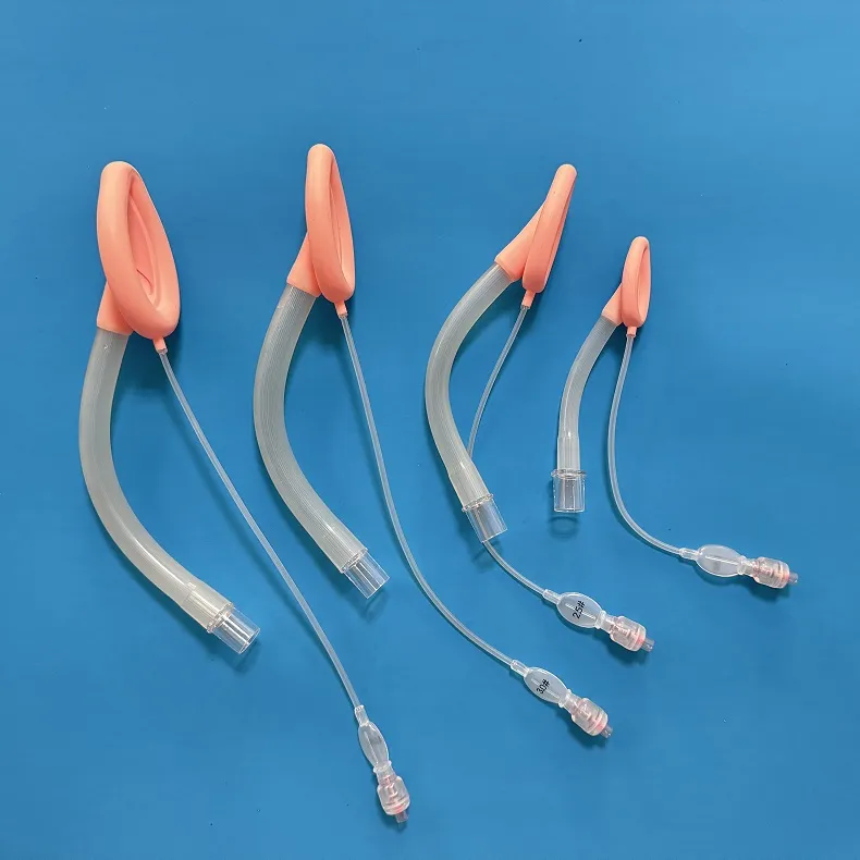 Laryngeal Mask View