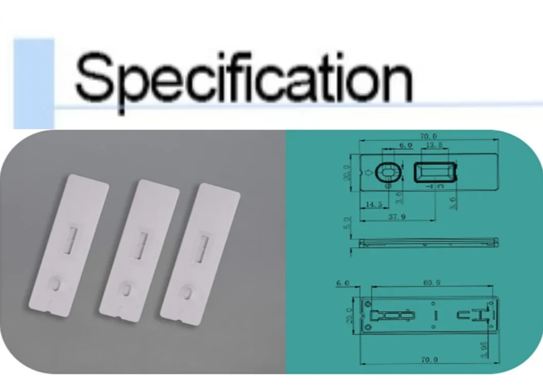 Rapid Test Kit Detail