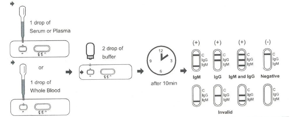 Test Procedure Diagram