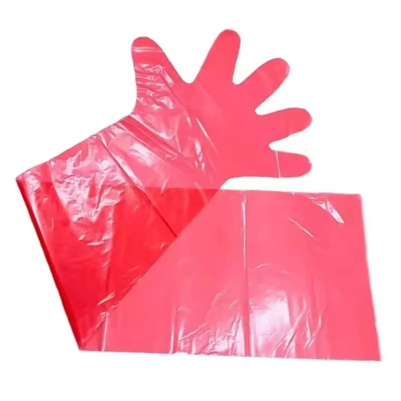 Veterinary Gloves 1