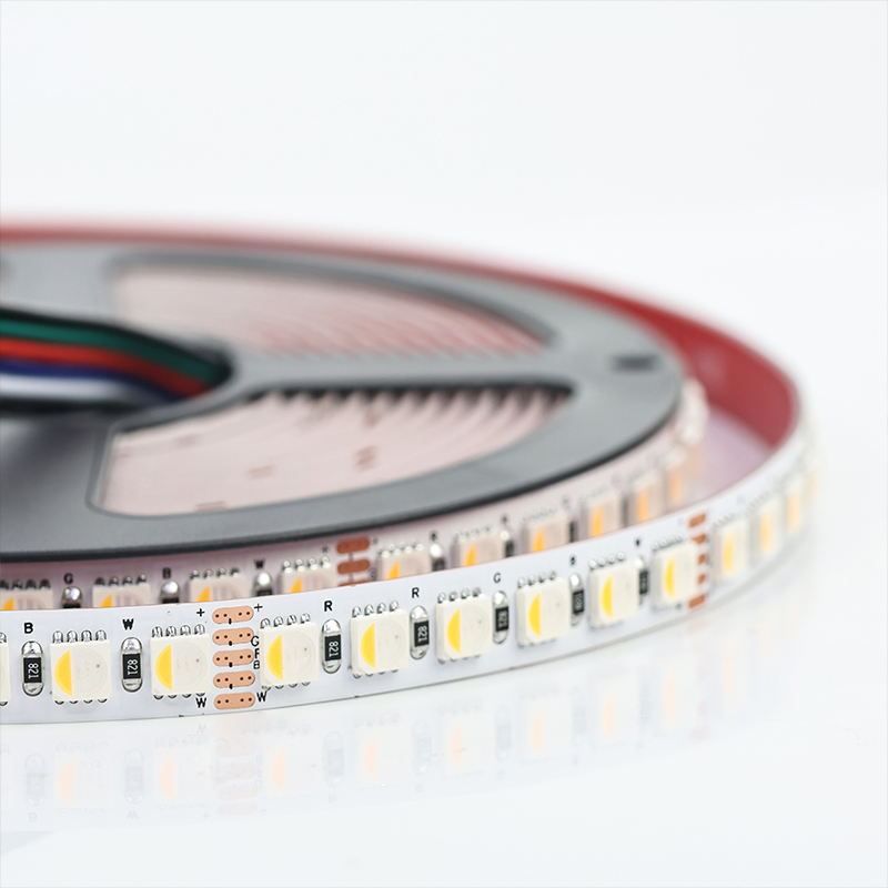 Fabricante OEM 4 EM 1 SMD 5050 LED Strip RGBW 24V 120LEDs 19W/M 3000K 4000K 6000K Certificado FCC ROHS CE
