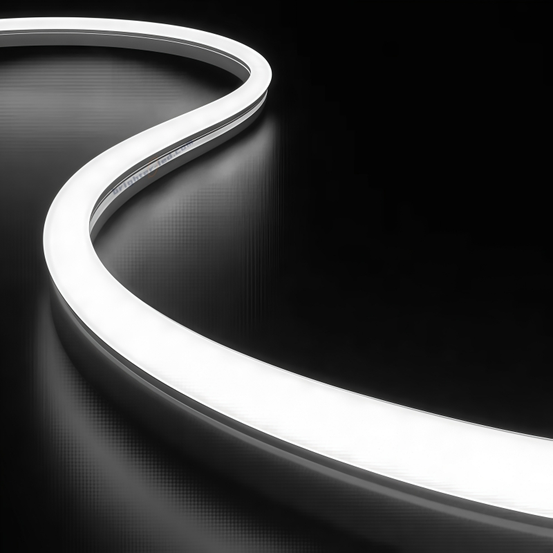 Fitas de Luz de Natal Neon/Fita LED/Módulo LED/Fita LED para Decoração Iluminação Externa