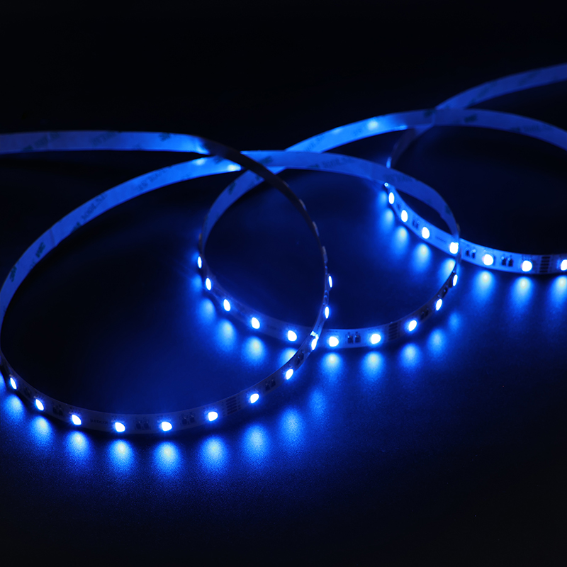 OEM ODM Personalizável DC12/24V 60LEDs 19W/M 5050 LED Strip RGBW para Projetos Criativos