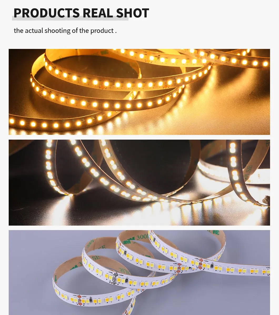 OEM ODM Mudança de Cor CCT SMD2835 Fita LED 240LEDs/M 2700~6500K 24V Fita LED DC
