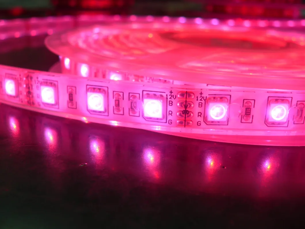 Fábrica SMD5050 Fita de LED RGB Flexível IP20 IP65 IP67 À Prova D'Água para Exterior com Controle Remoto