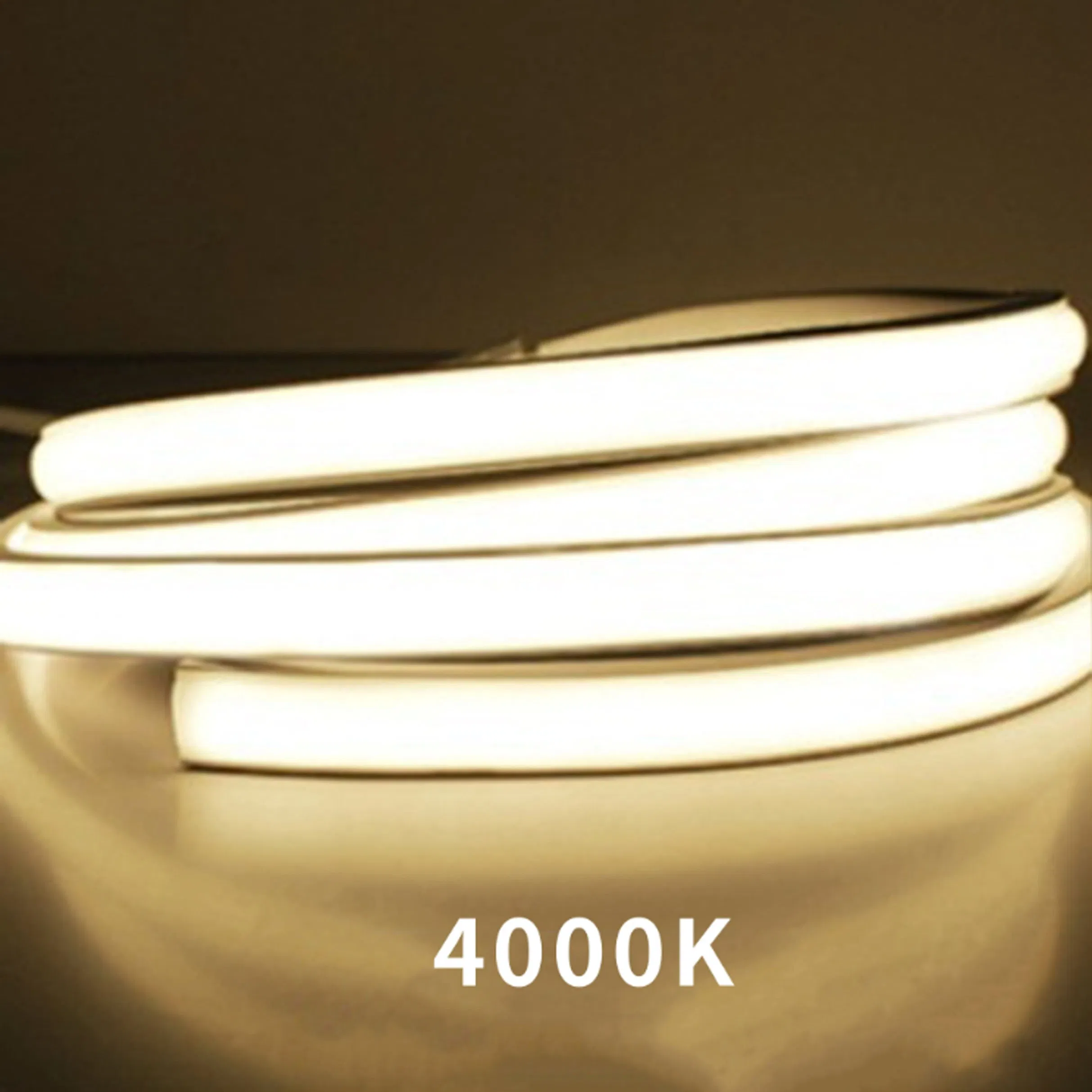 100m LED 220V Fita de Luz COB Sem Driver à Prova d'Água para Exterior Iluminação de Jardim Decoração Fita LED Flexível