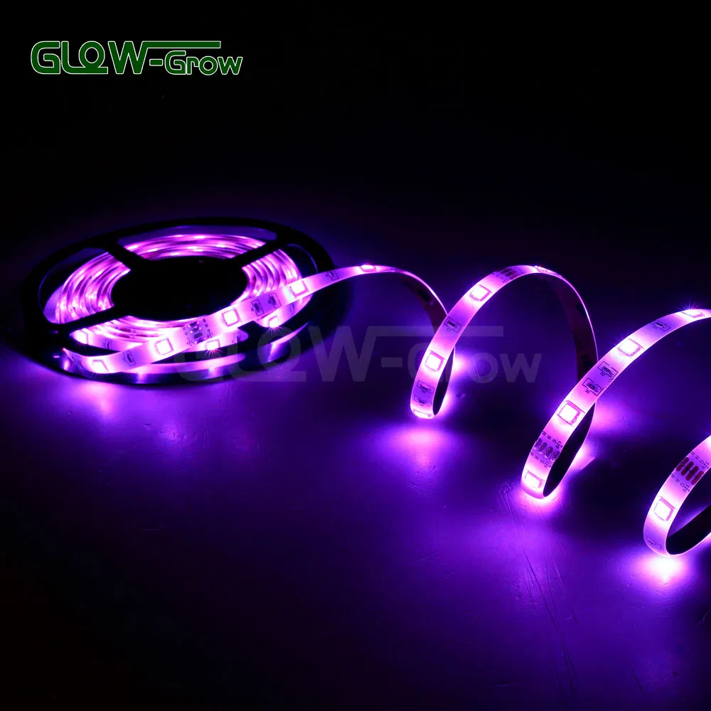 Fornecedores Atacado Fita LED Flexível SMD à Prova d'Água Endereçável Programável Inteligente RGB com Alexa Google Bluetooth WiFi para Decoração de Casa