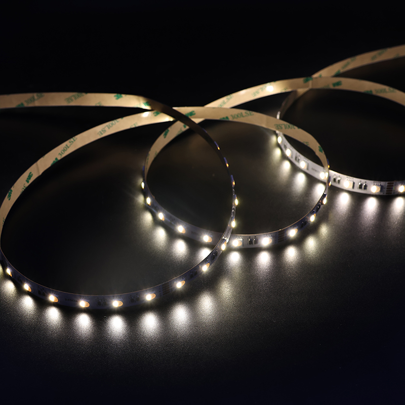 OEM ODM Personalizável DC12/24V 60LEDs 19W/M 5050 LED Strip RGBW para Projetos Criativos