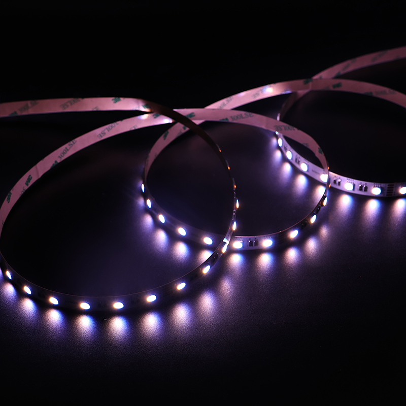 OEM ODM Personalizável DC12/24V 60LEDs 19W/M 5050 LED Strip RGBW para Projetos Criativos