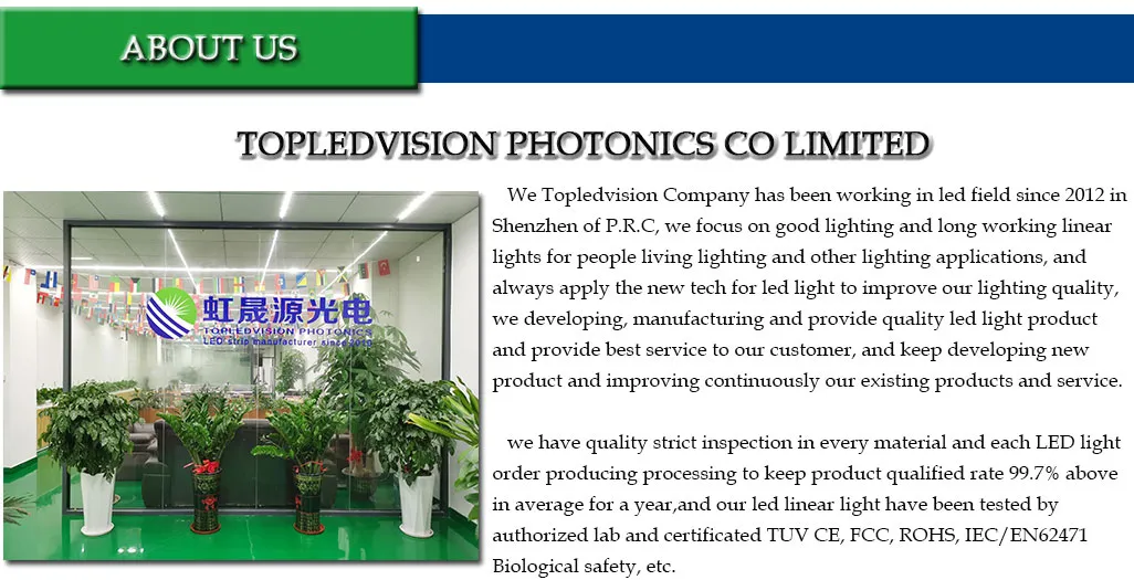 Estrutura da Empresa
