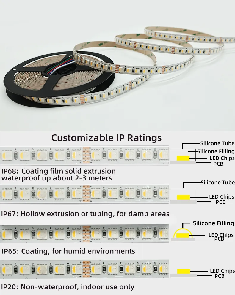 WS2811 Fita LED RGB RGBW Endereçável Inteligente 24V 12V 10mm Wifi App Sincronização de Música Luzes Dinâmicas Dimmable