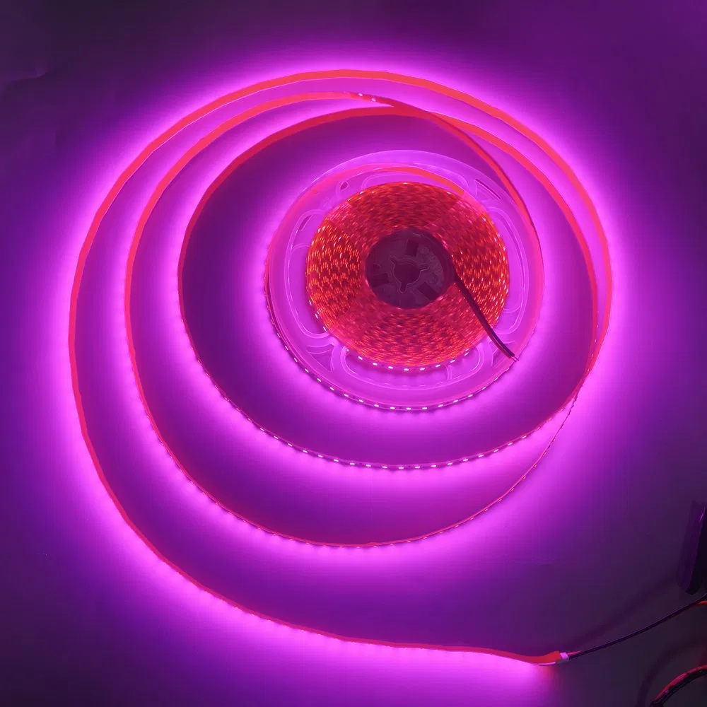 Garantia OEM de Fábrica 3years Fita LED Rosa para Decoração de Natal Interna e Externa Iluminação Comercial SMD2835