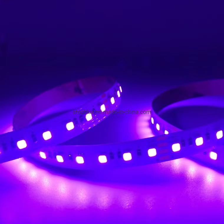 Fita de LED RGB Digital Ws2813 com Cores dos Sonhos 5V Fita de LED Pixel Flexível 5050