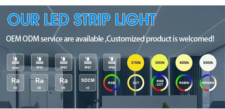 DC24V Mudança de Cor RGBW Endereçável 16.4FT Fita LED COB Flexível com Ws2814