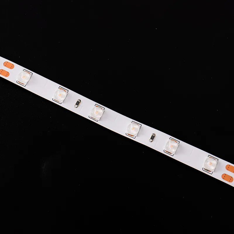 Fita de LED de Fábrica da China 24V Flexível à Prova d'Água Multicor Dimerizável SMD6060 Luz de Fita LED