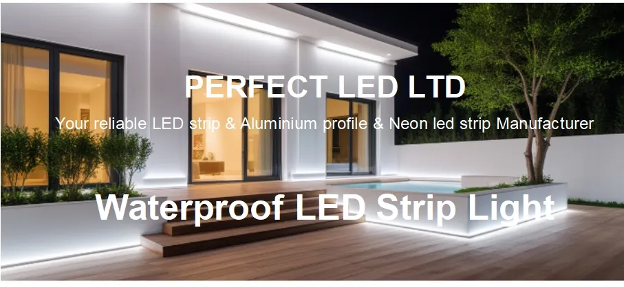IP65 À prova d'água SMD2835 120LED 8mm Fita de LED Neon Flexível