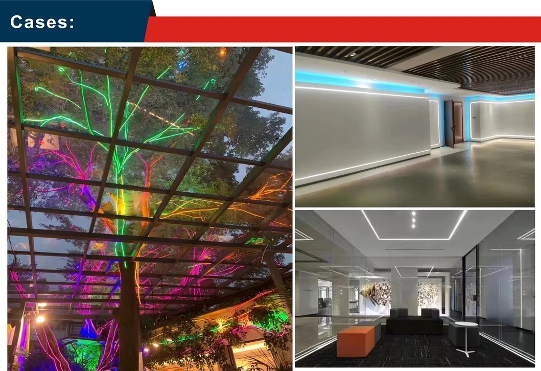 Projetos LED Neon Flex