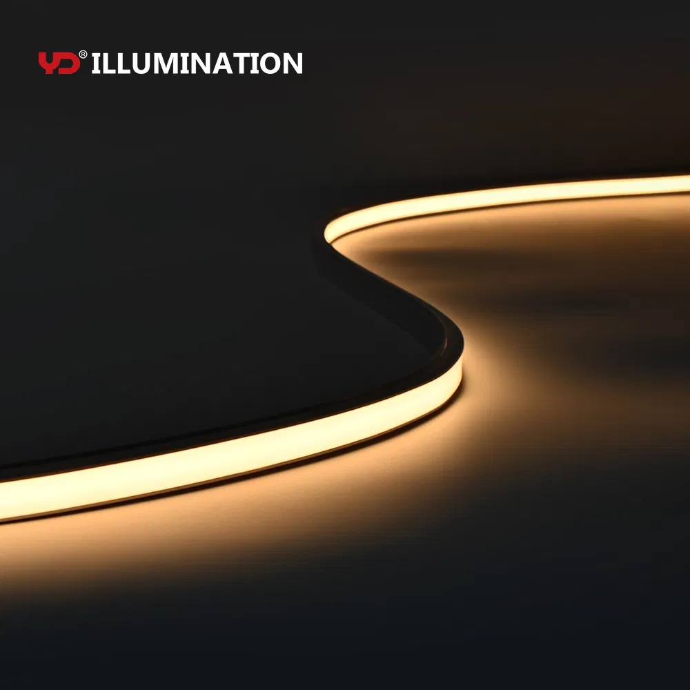 IP68 Fita de LED externa com Bluetooth para arquitetura