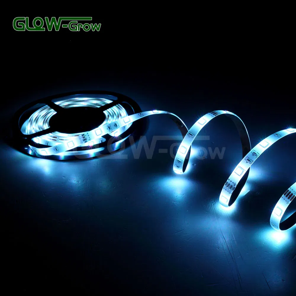Fornecedores Atacado Fita LED Flexível SMD à Prova d'Água Endereçável Programável Inteligente RGB com Alexa Google Bluetooth WiFi para Decoração de Casa
