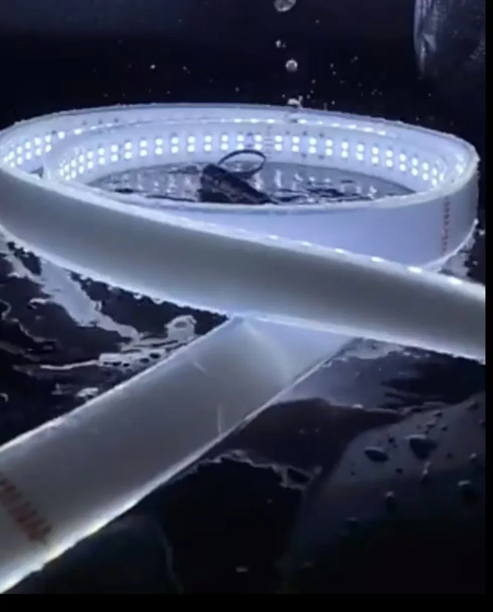 Fita de LED de Alta Brilho para Uso Comercial