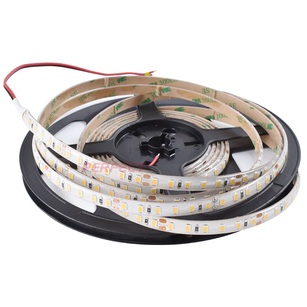 IP65 À prova d'água SMD2835 120LED 8mm Fita de LED Neon Flexível para Quarto, Decoração de Ambiente, ao Ar Livre