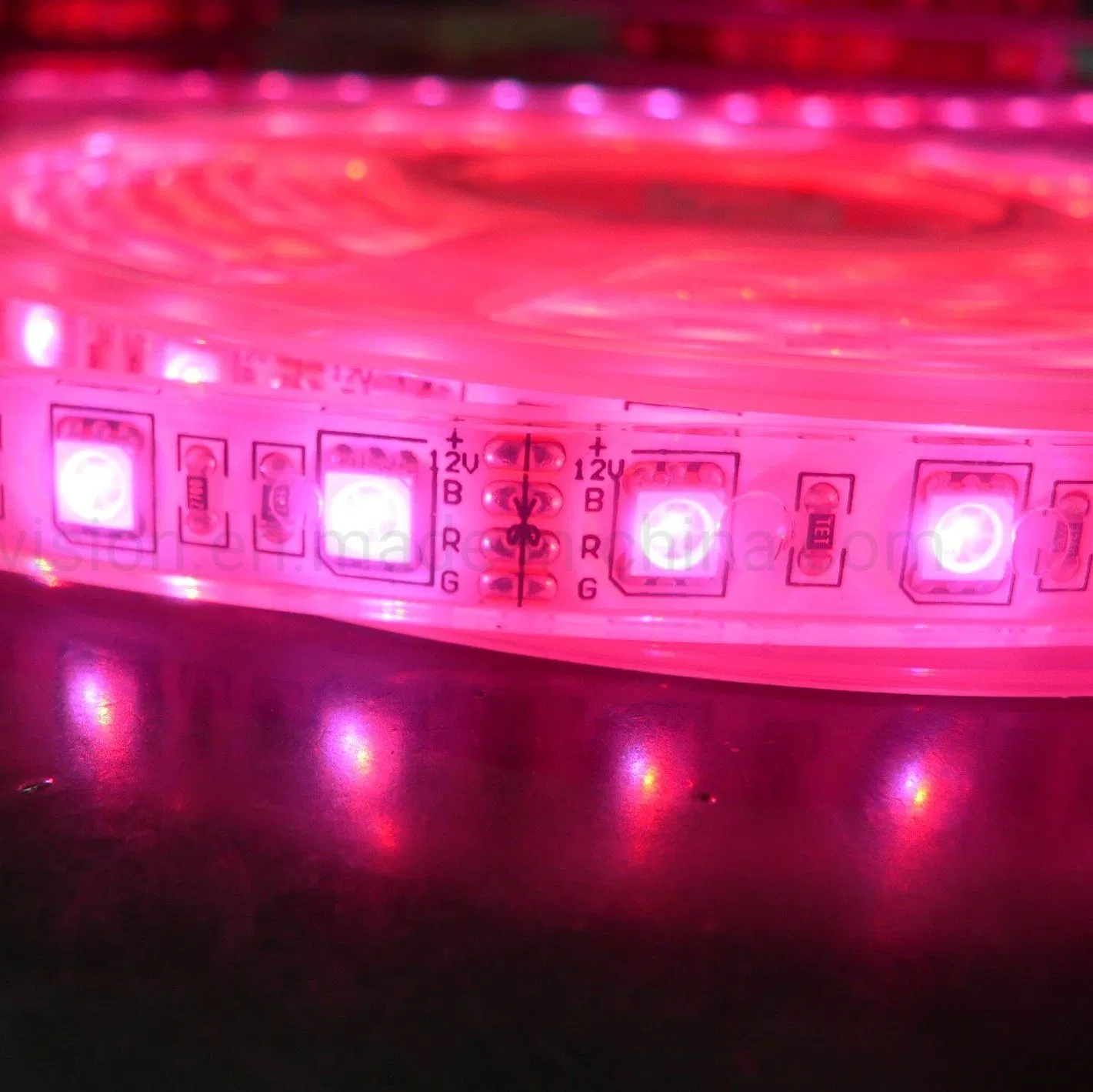 Fita LED RGB SMD de Alta Densidade Personalizada 5050 Multi Cor para Exterior à Prova d'Água Encapsulada em Silicone IP68 Fita LED Flexível 60LEDs/m