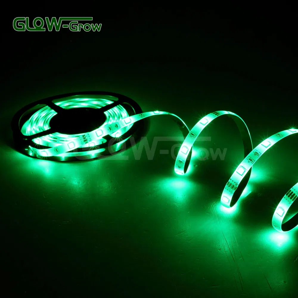Fornecedores Atacado Fita LED Flexível SMD à Prova d'Água Endereçável Programável Inteligente RGB com Alexa Google Bluetooth WiFi para Decoração de Casa