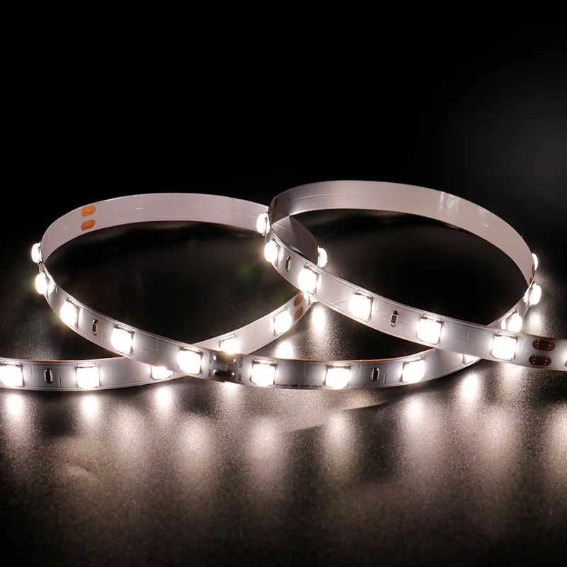 Fita de LED de Fábrica da China 24V Flexível à Prova d'Água Multicor Dimerizável SMD6060 Luz de Fita LED